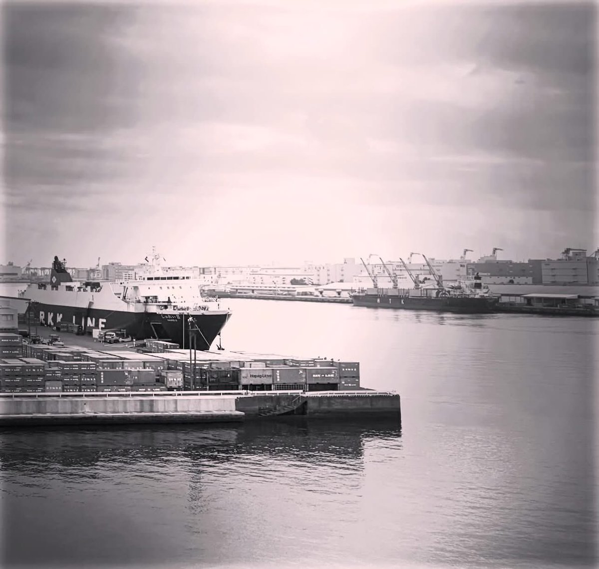 mayLuneRouge's tweet image. 春らしい曇り空♡
久しぶりのビッグサイト〜。
毎回思いがけない用で訪れている場所。海は無条件でそこにあるし、ゆりかもめの車窓から見える倉庫やコンテナも懐かしい。

#dailysnap