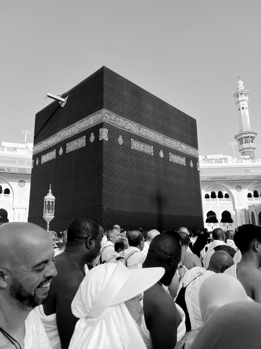 ديما tweet media