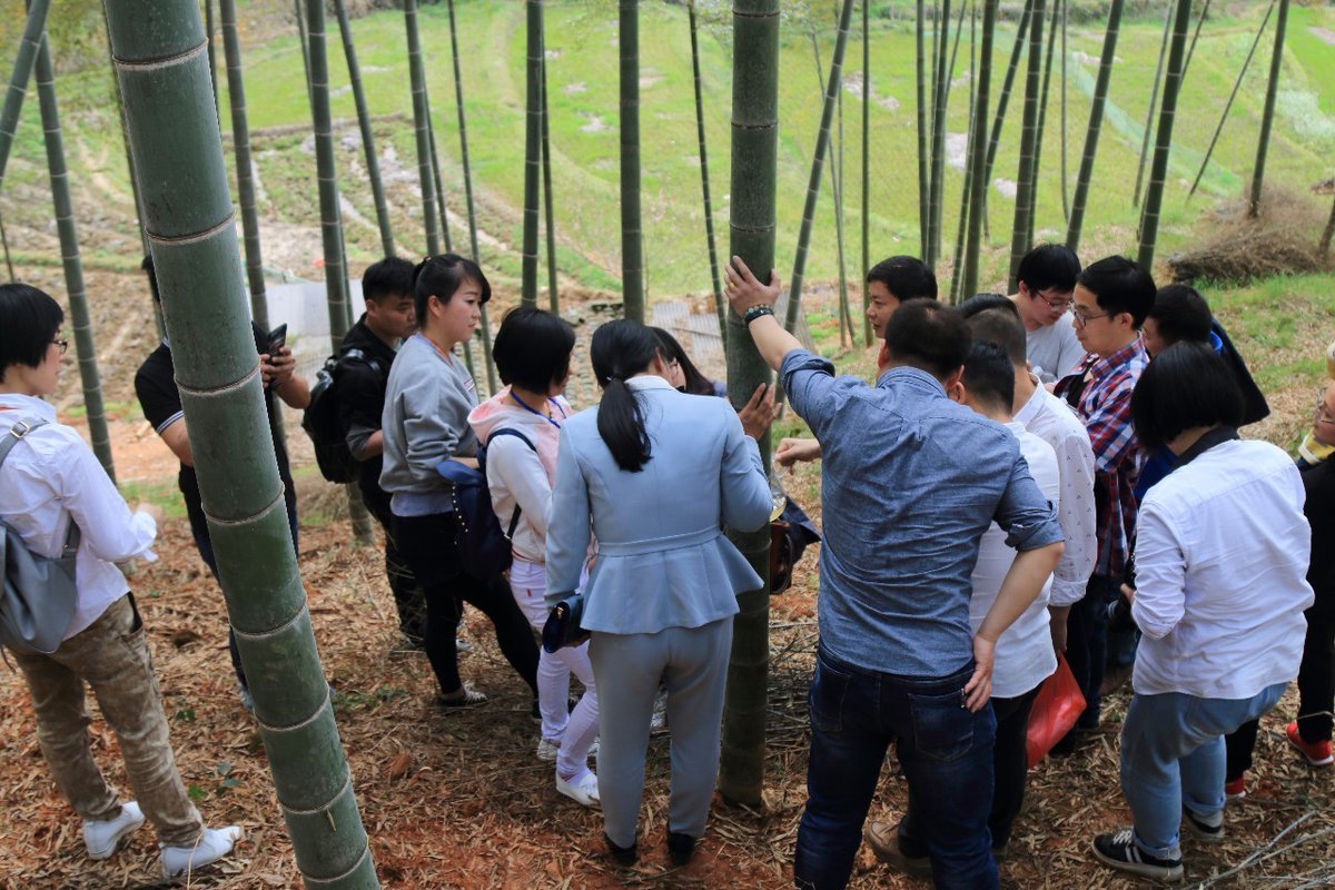 sofia correa tweet media