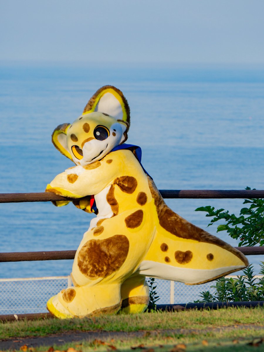 わどん tweet media