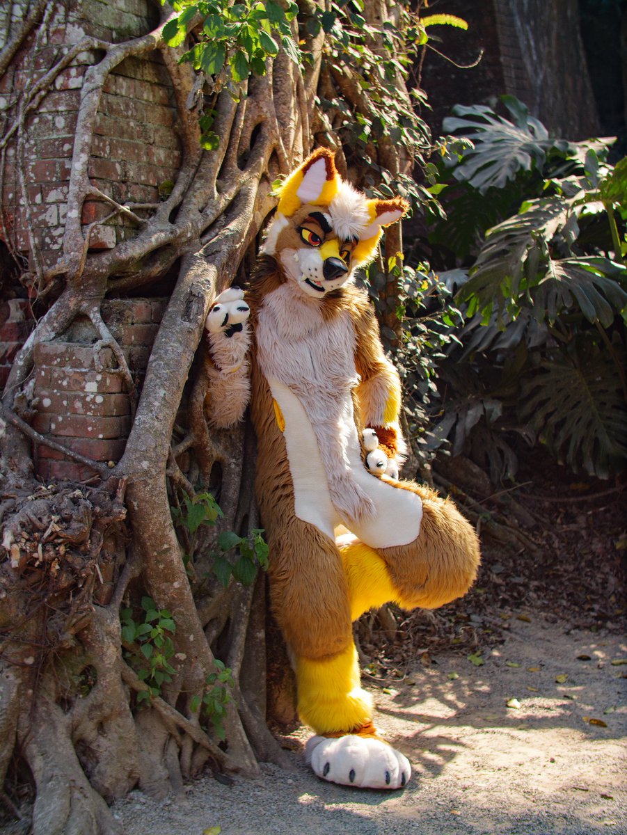 Mustard Yapper 🛩️ FWA / BFC tweet media