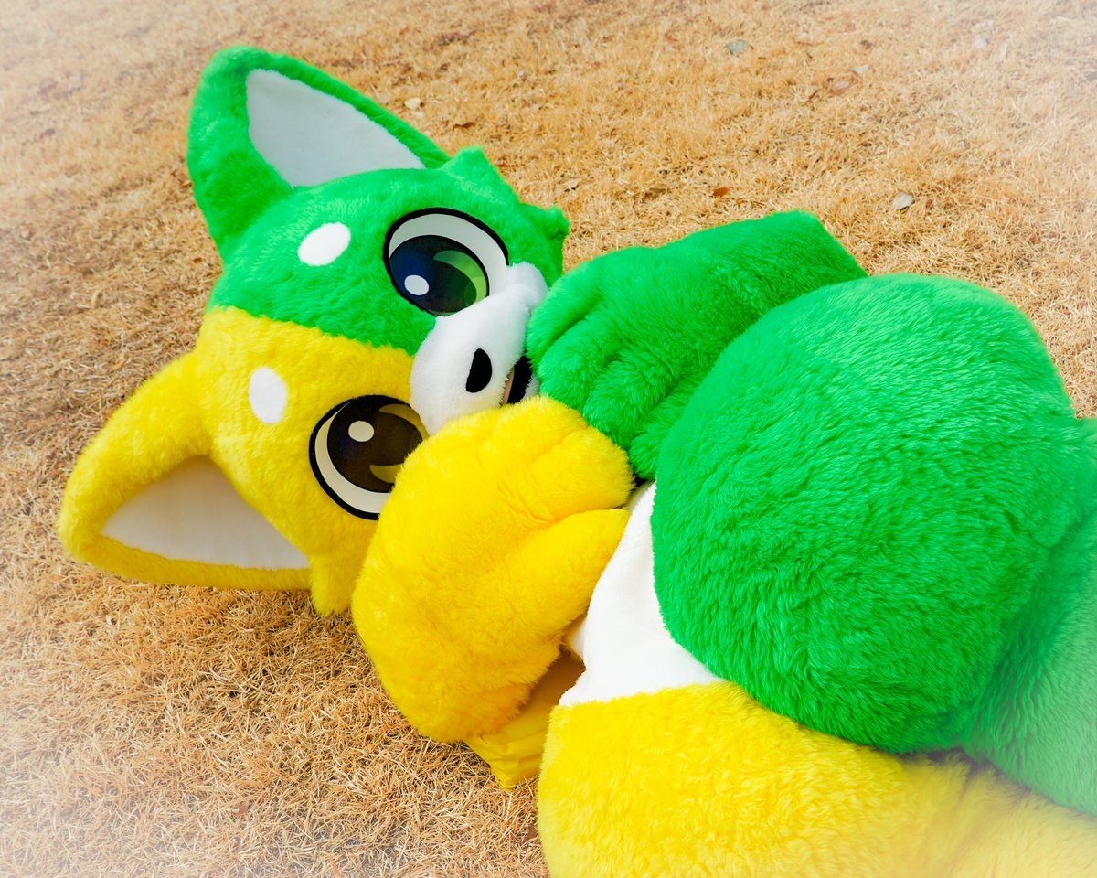 はつけもくん🔰 tweet media