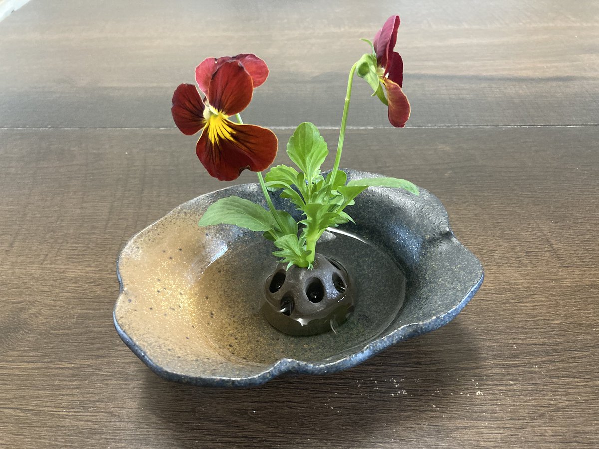 IGアフロ tweet media