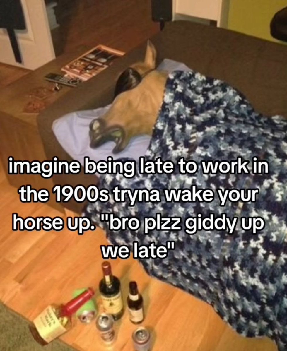 dex 💫 tweet media