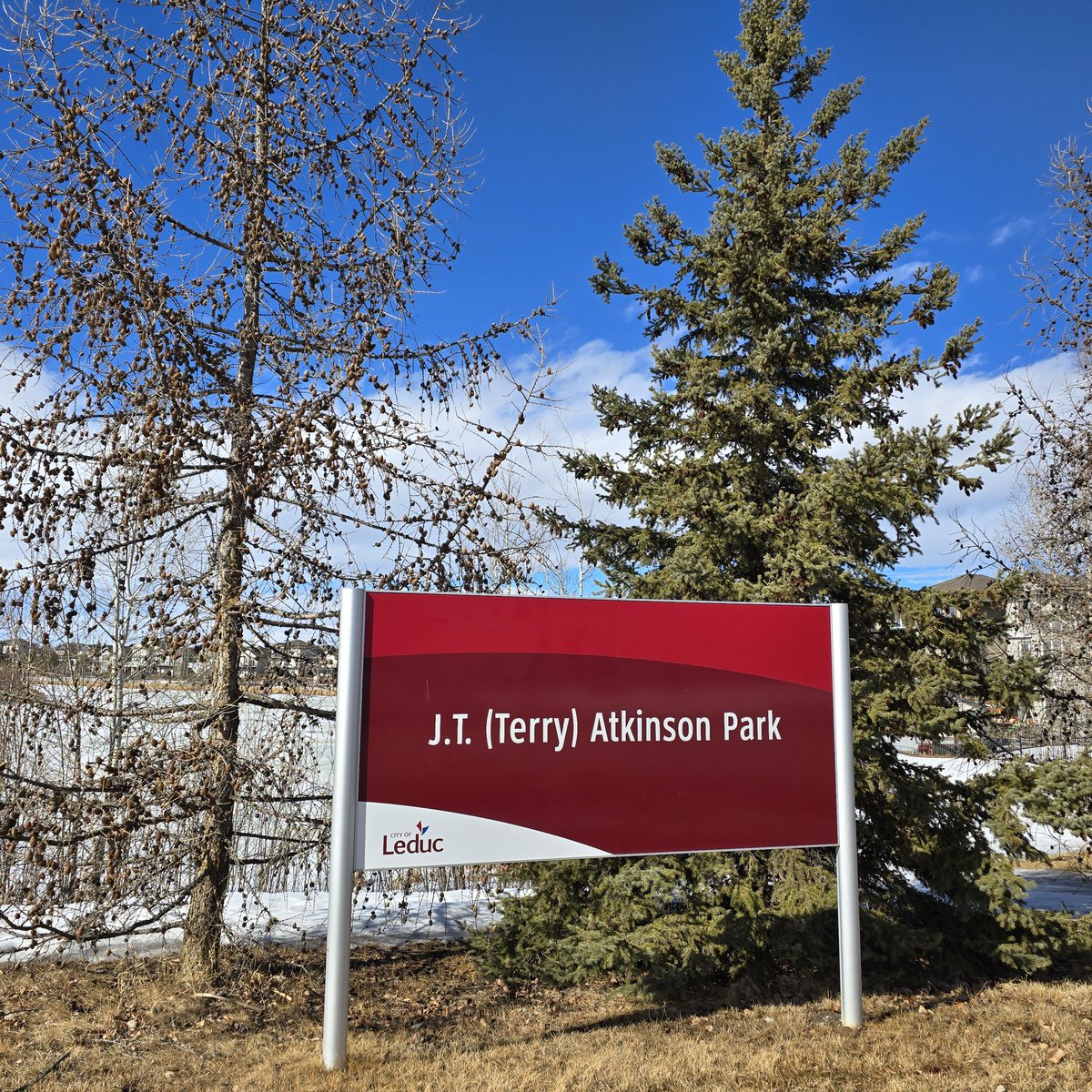 KerryAtkinson2's tweet photo. Went and saw Dad's park today.
St. Patrick's Day was his favourite day!
He proudly boasted he came from Ireland to all & sundry & sang Irish songs at the drop of a hat.
Okay, he did the singing daily, that wasn't just once a year.
Miss you Dad.
#IrishDad #Grief https://t.co/xqqxQJ1dV5