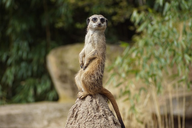 John Mitchell tweet media