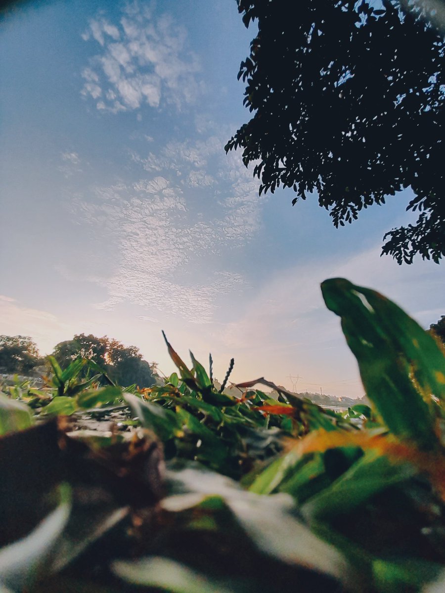 Lif_Gai's tweet photo. Keindahan Kebun Pada pagi hari yg menenangkan.... https://t.co/dWfhW4HrsD