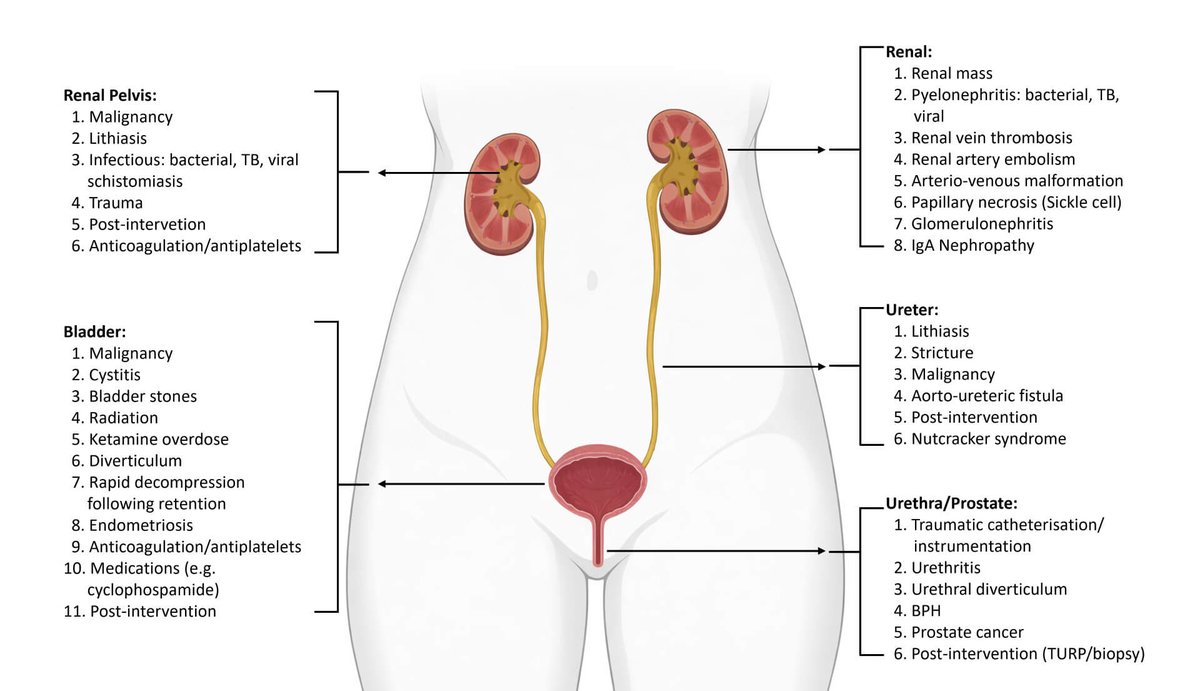 Twinkle xu tweet media