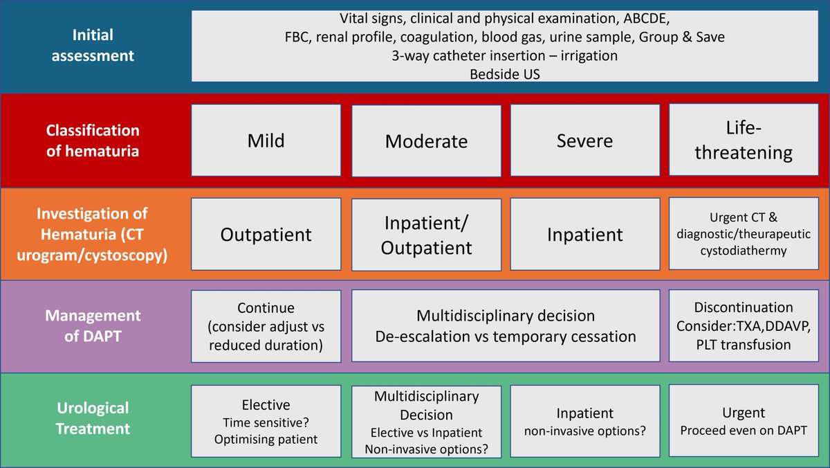 Twinkle xu tweet media