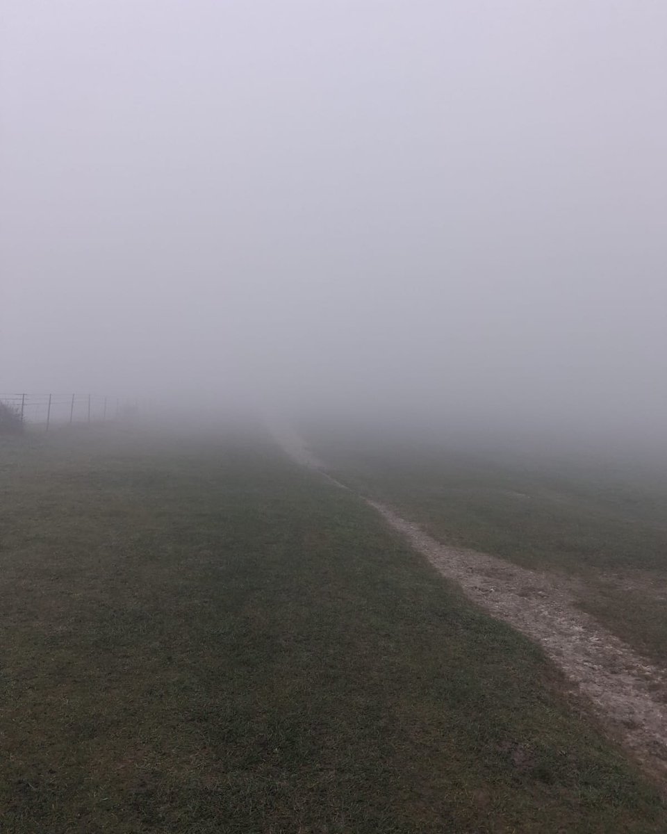 PTSD Resolution tweet media