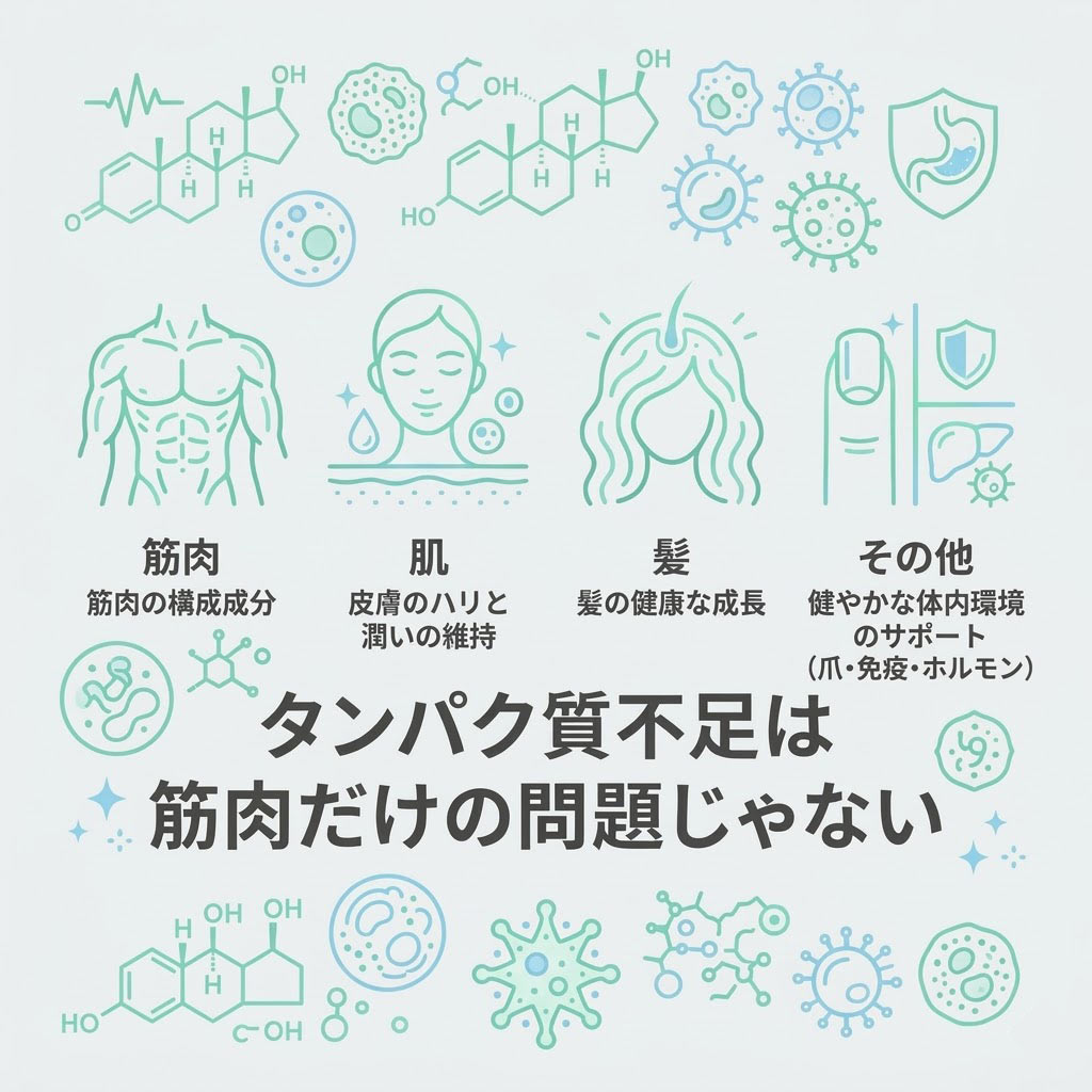 ハルクファクター［公式］｜プロテインサプリ tweet media