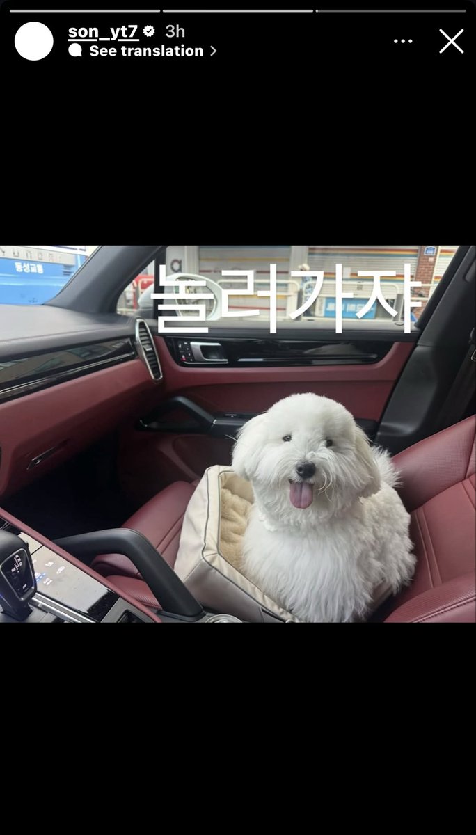 thinking about youngtaek tweet media