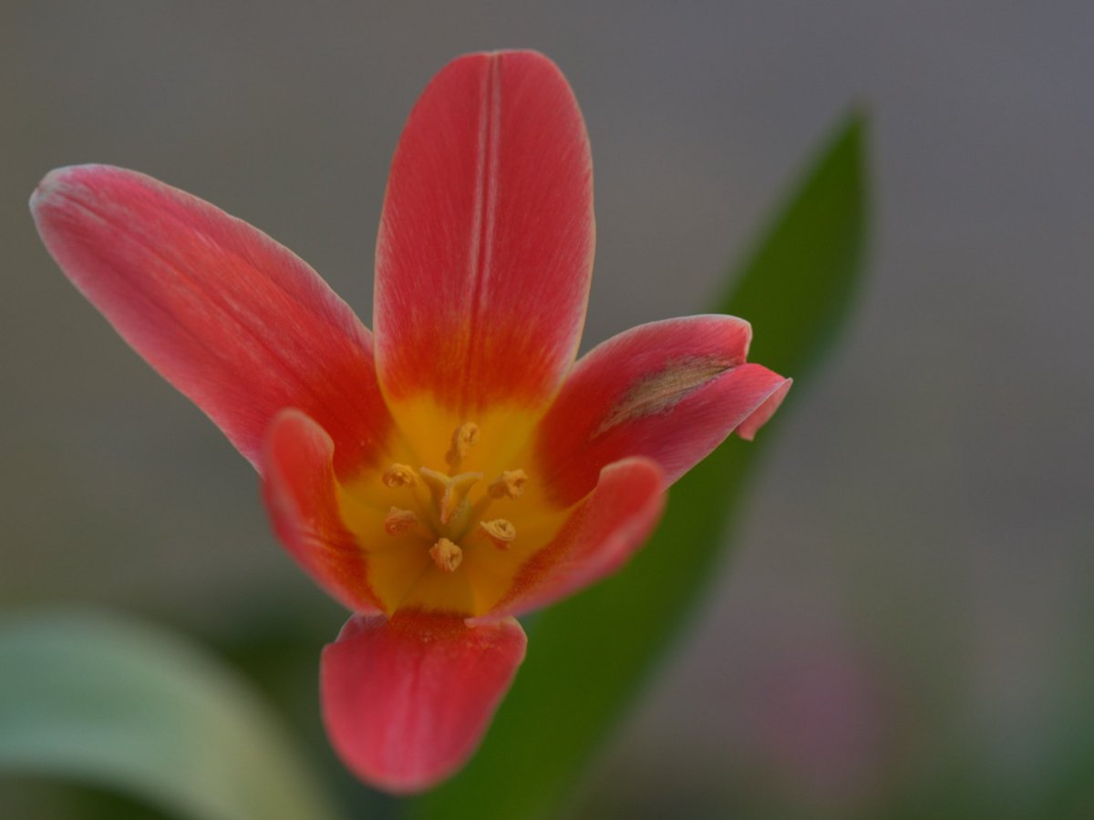 WERNER 🌍 tweet media