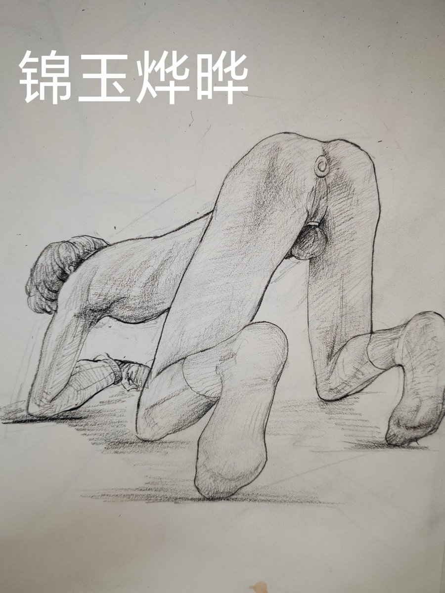 锦玉烨晔（求互推） tweet media