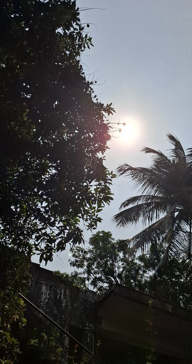 ଭରଦ୍ୱାଜ ଶ୍ରୀ ବିଷ୍ଣୁ ମୋହନ🚩Bishnu mohan Patra . tweet media