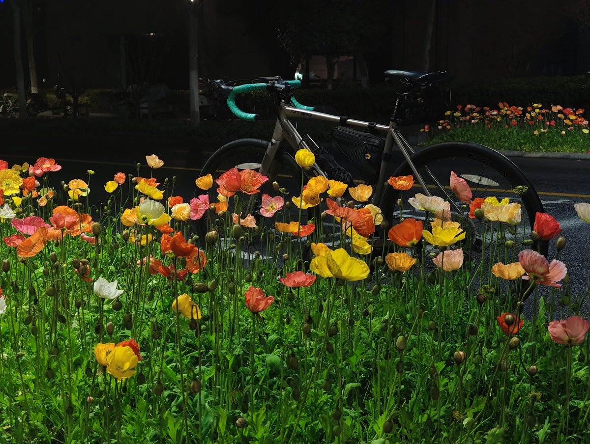 我↑不明白 tweet media