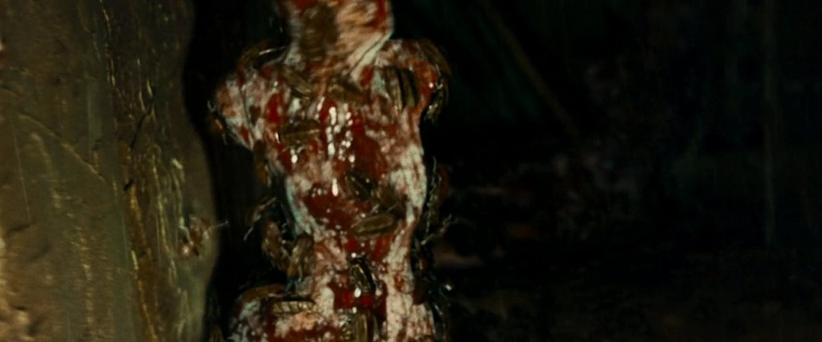 Dillon(!) tweet media