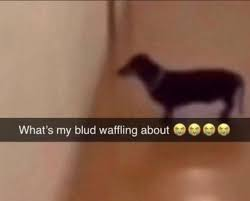 simps_underground tweet media