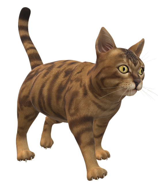 Andy Chandarlis tweet media