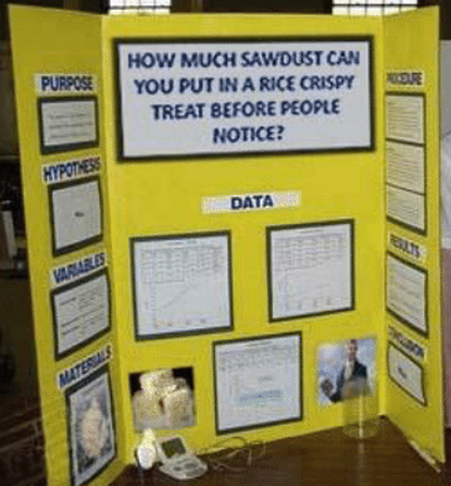 Space Frog tweet media