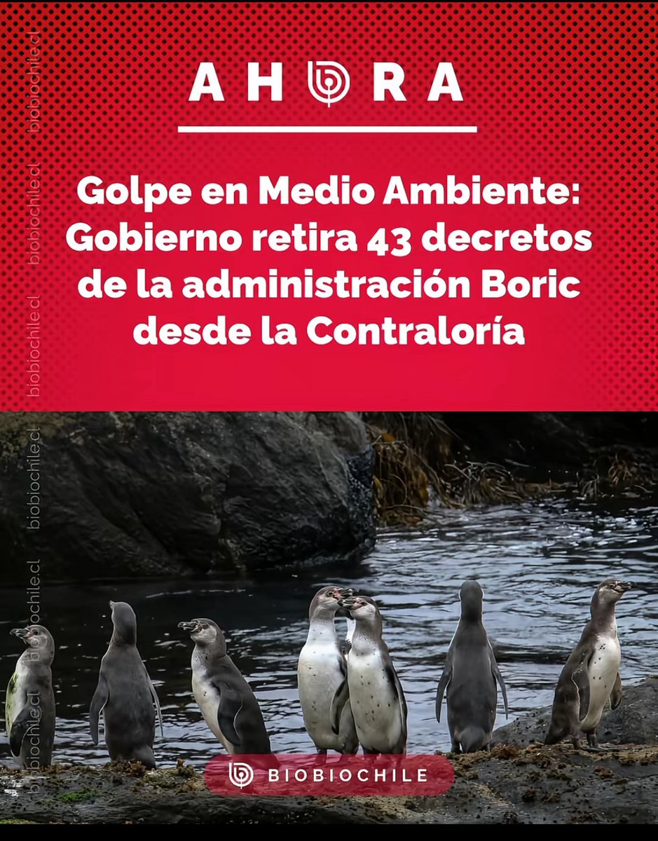 MegafonoPopular® tweet media