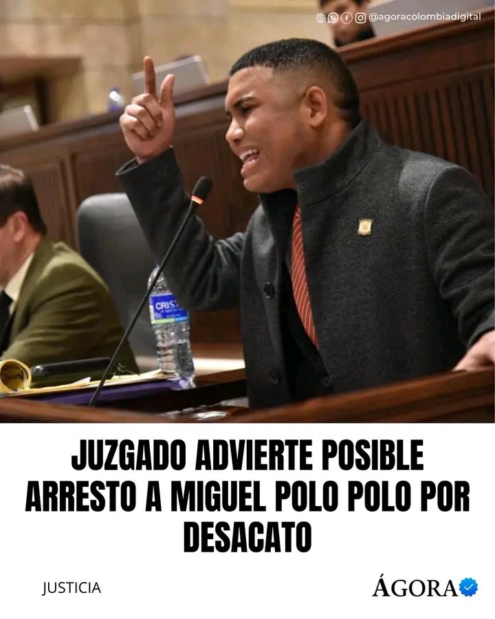 Ave Fénix tweet media