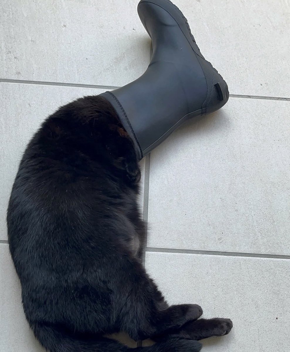 아샤냐가 생각하는 자기 자신
                                                            현실