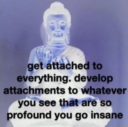 Raven Rots tweet media