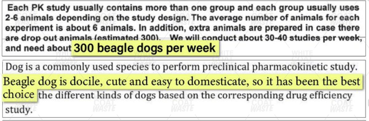 Justin Goodman tweet media