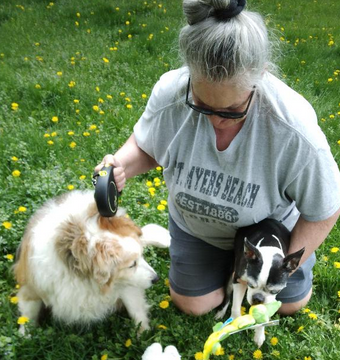 Cindy Kandler tweet media