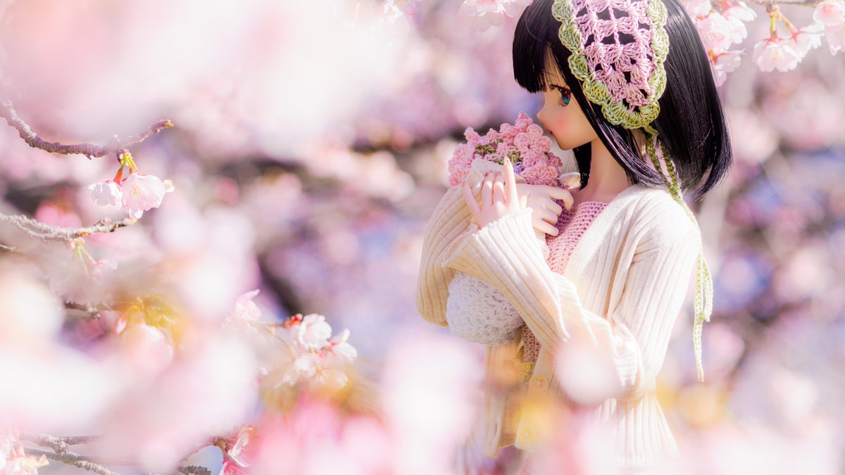 #お昼休みに一枚だけドールの写真をはろう