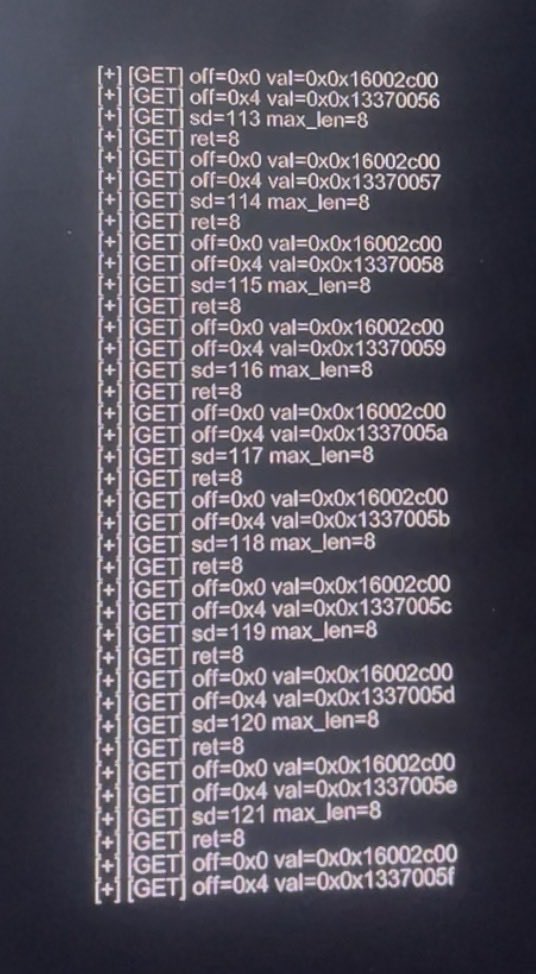 Mohamed Elhout tweet media