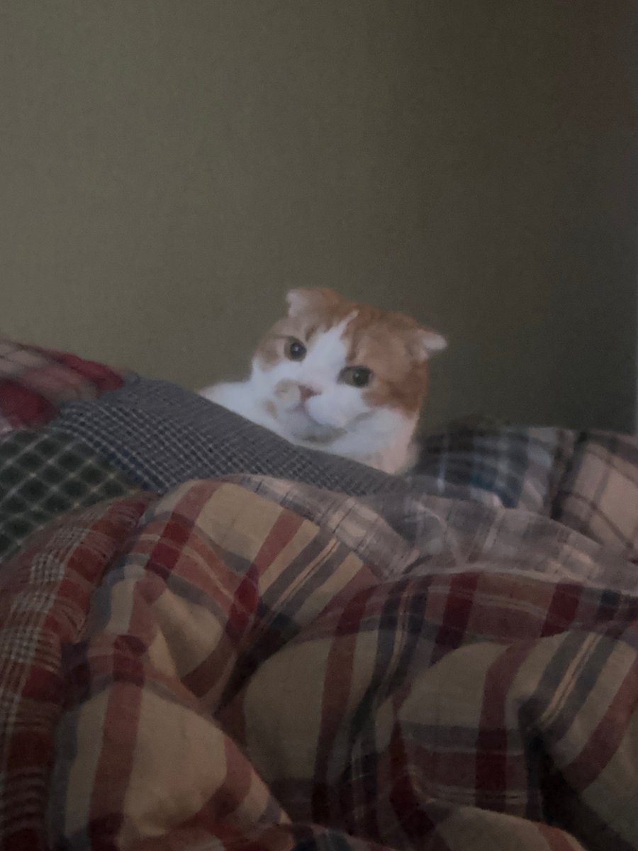 DC 휘인 마이너 갤러리 tweet media