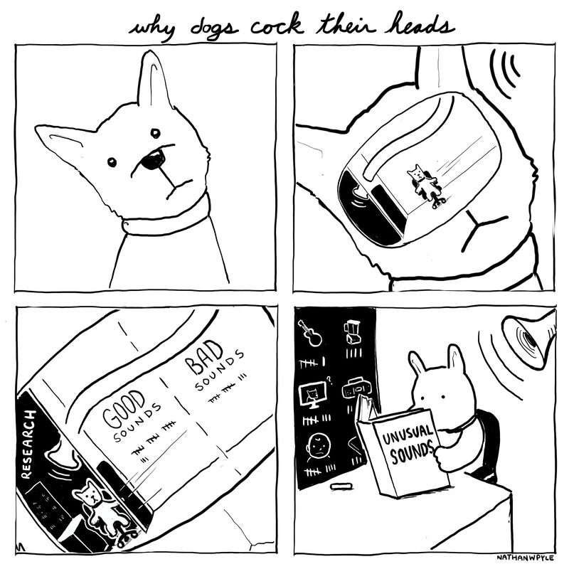 Mike Gropp tweet media