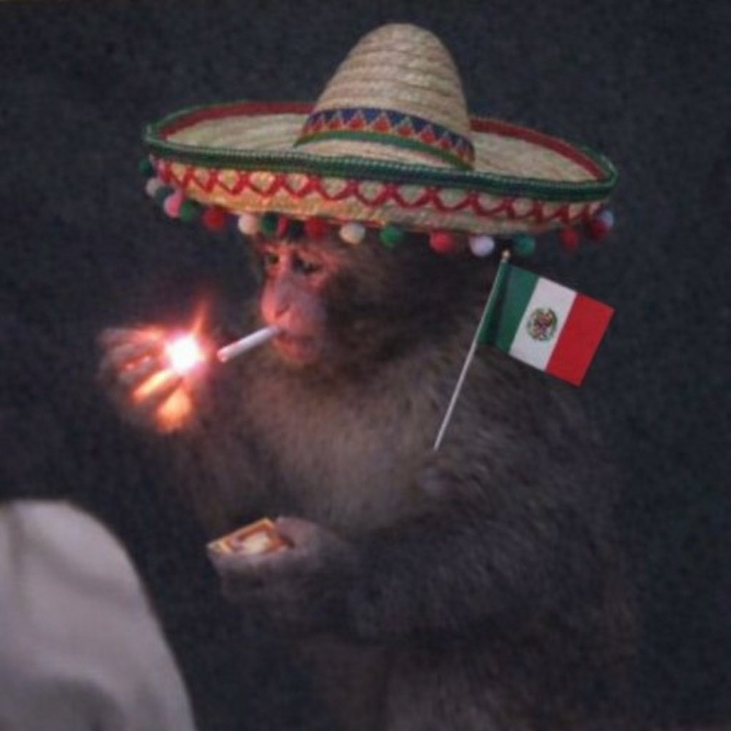 Lui(punch/acc) tweet media