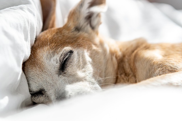 Nicole Richardson tweet media