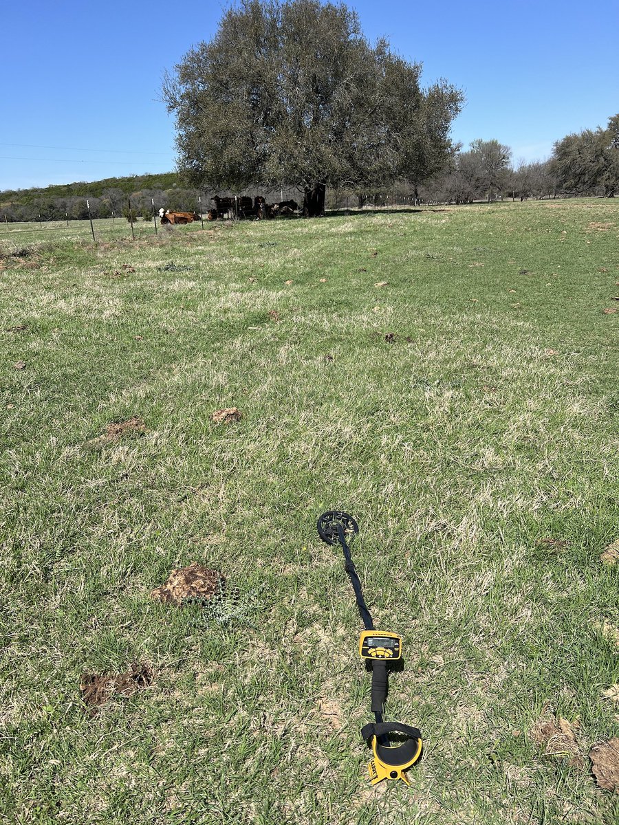 DiscraftHero tweet media