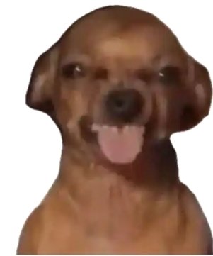 IS ME L'OREAL🧴 💨 tweet media