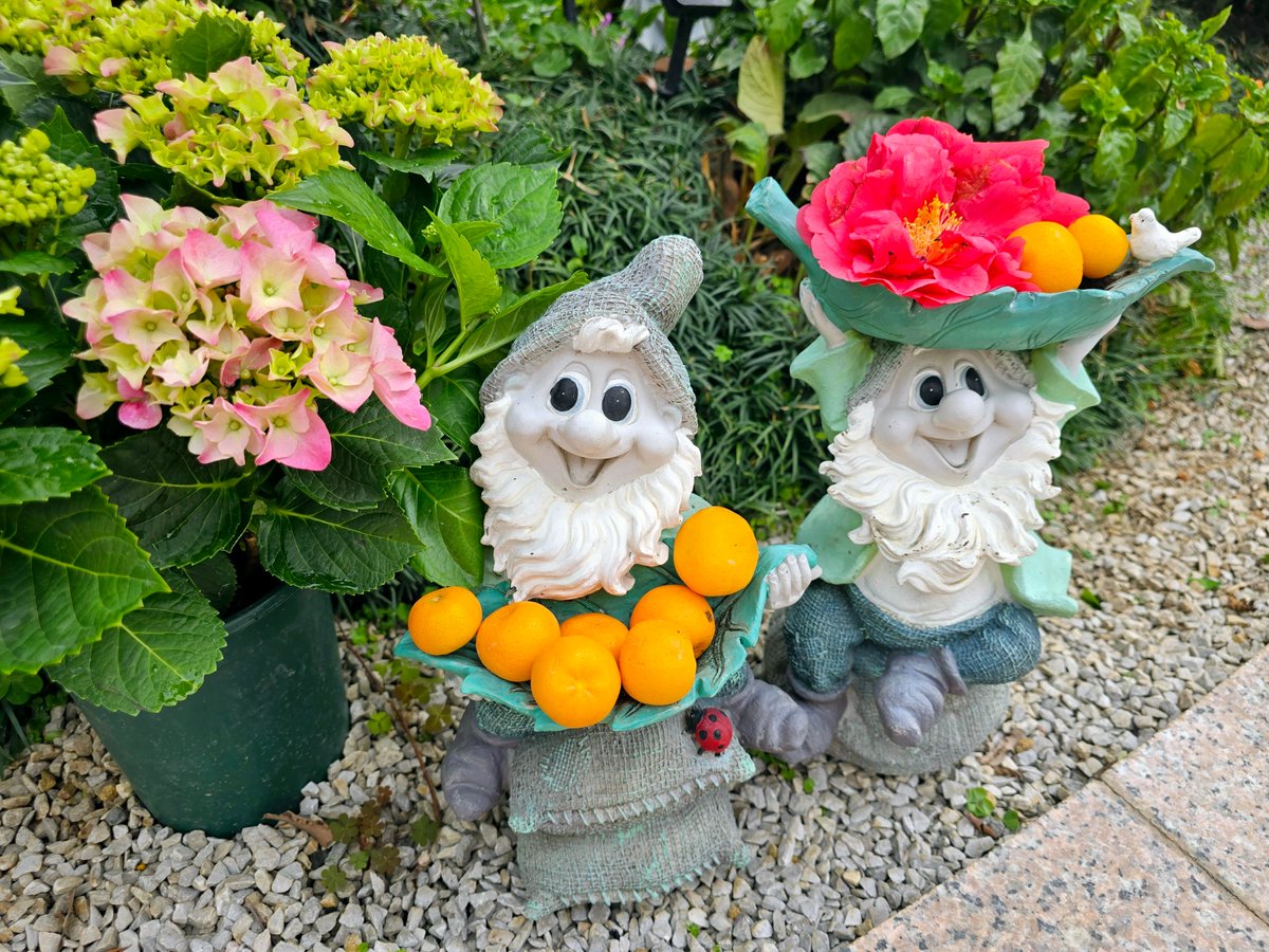 Vikneswaran Kanesan tweet media