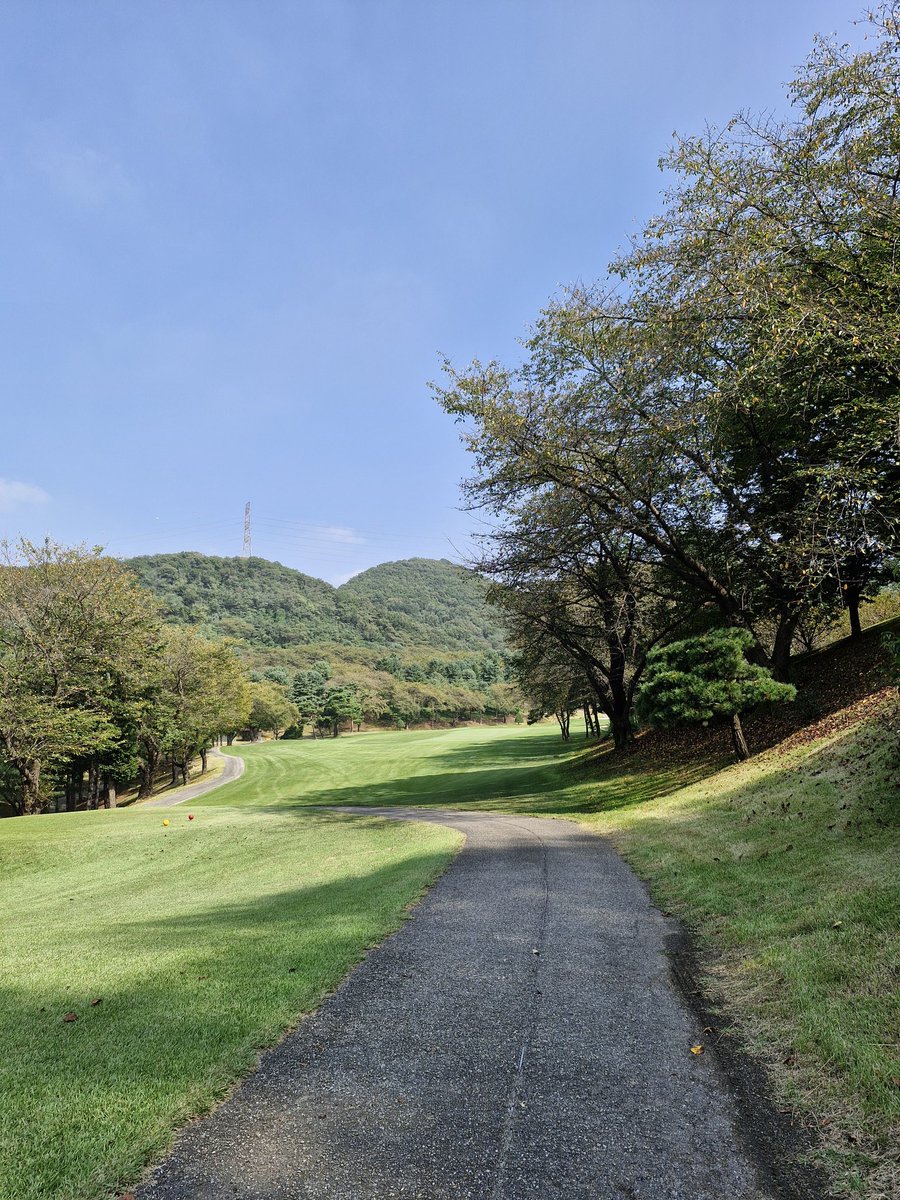 초코라떼 부부 tweet media