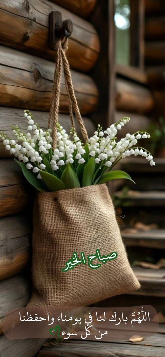 صالح سلمان الدوسري tweet media