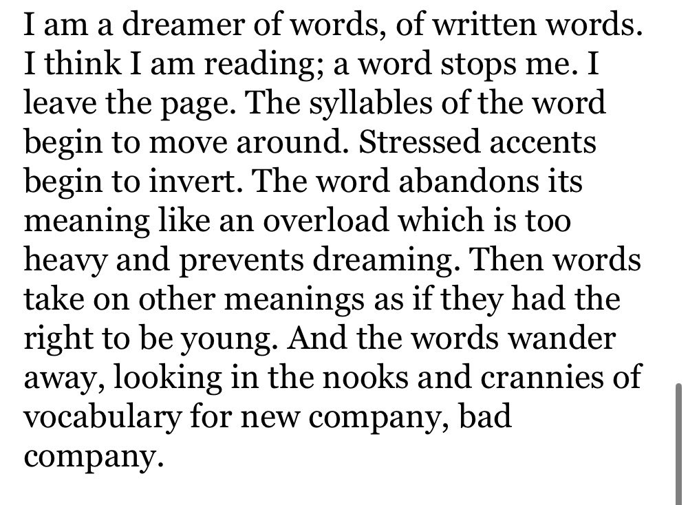 Delman 🏁🔻 tweet media