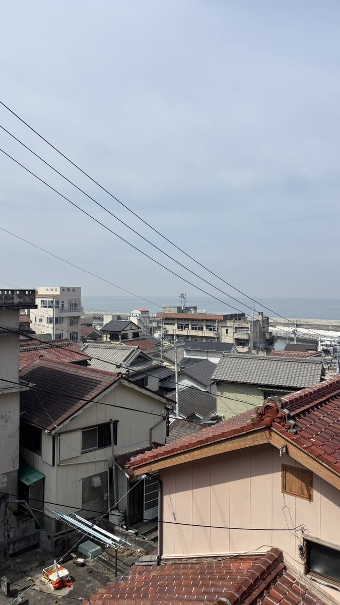 じゅん🕊️ tweet media