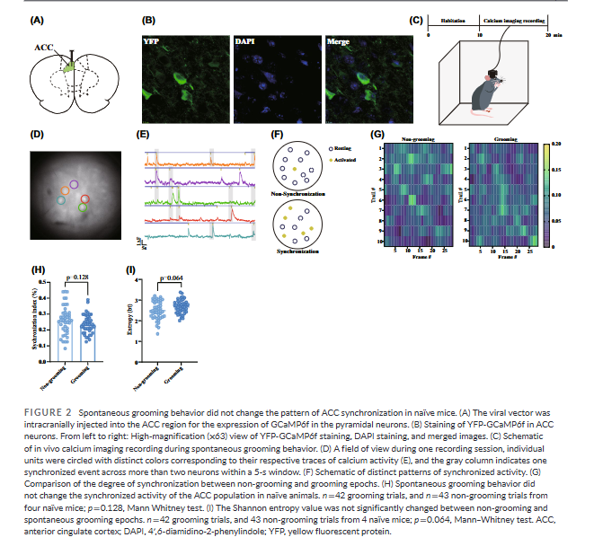 Headache Journal tweet media