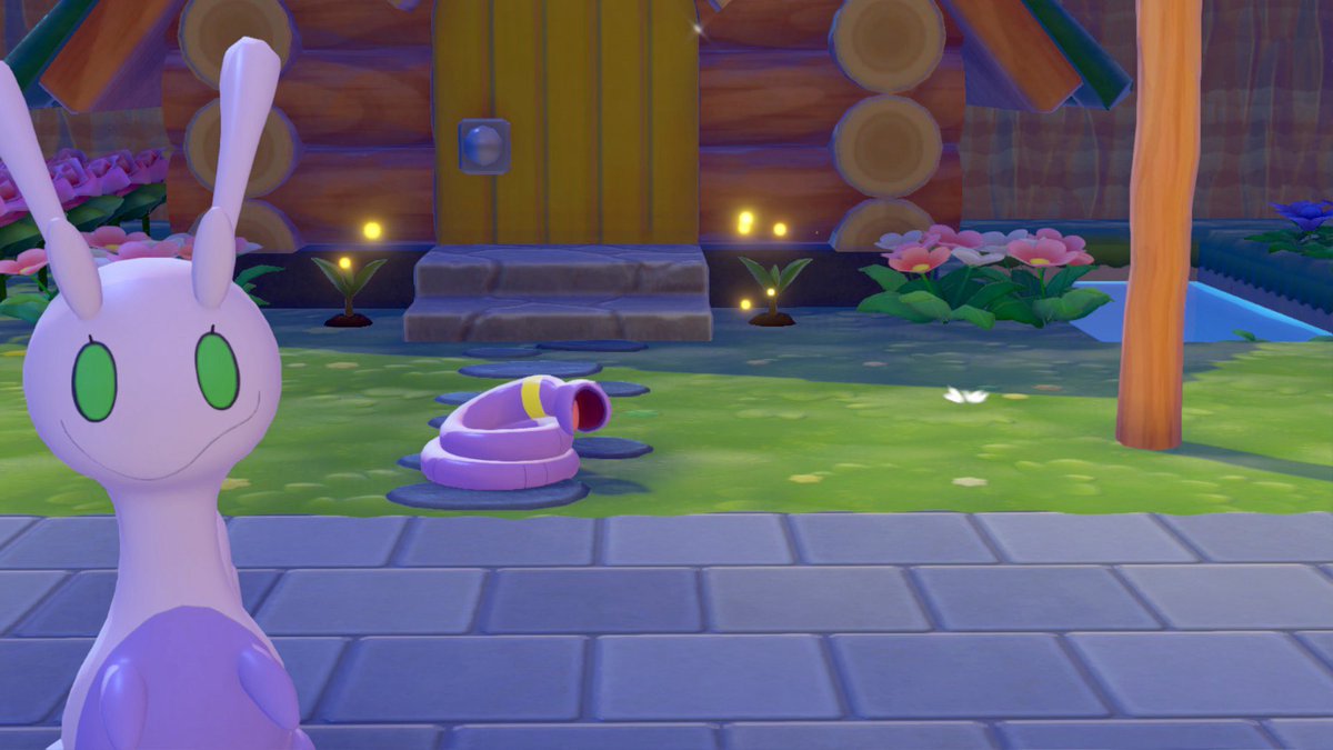 ✨🇨🇦 tweet media