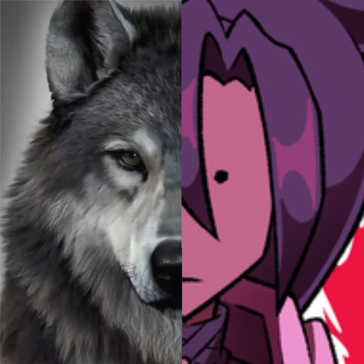 Caleb (Maxime's Wife) 🌺 tweet media