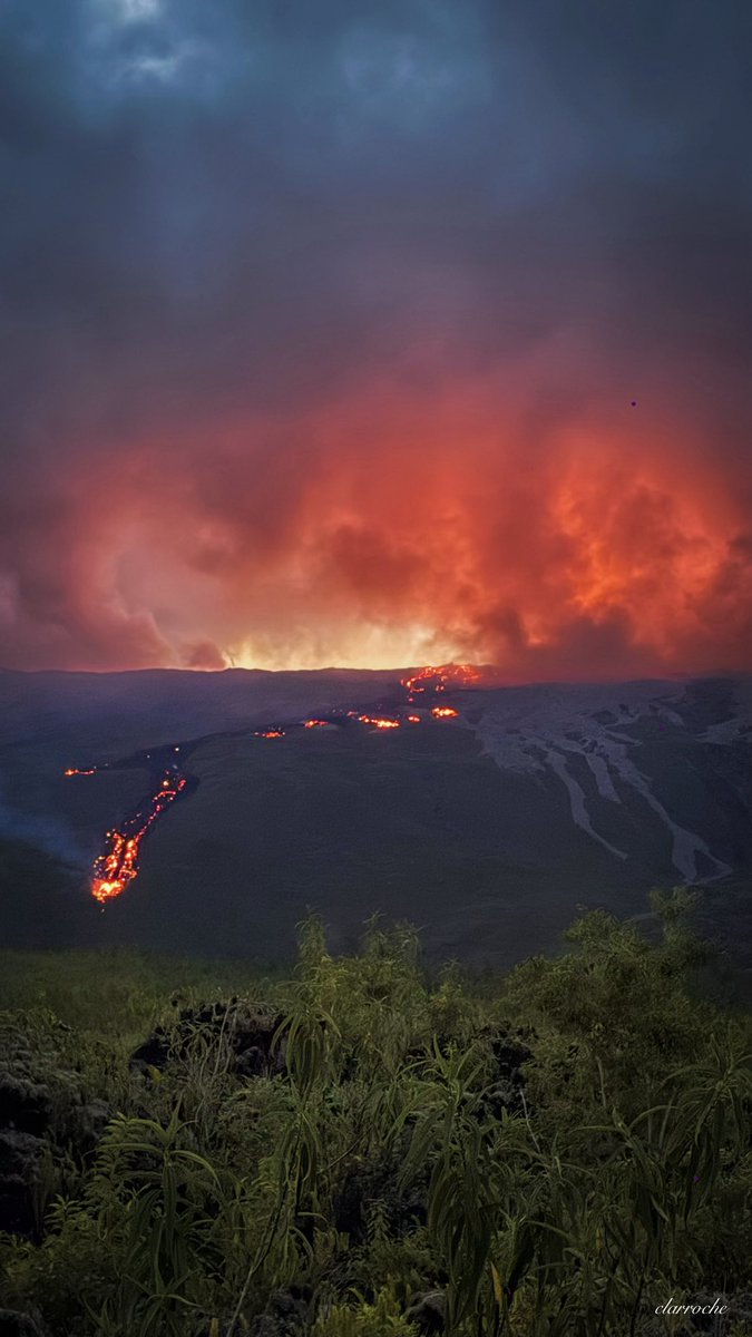 Claradrôle 🥱 tweet media