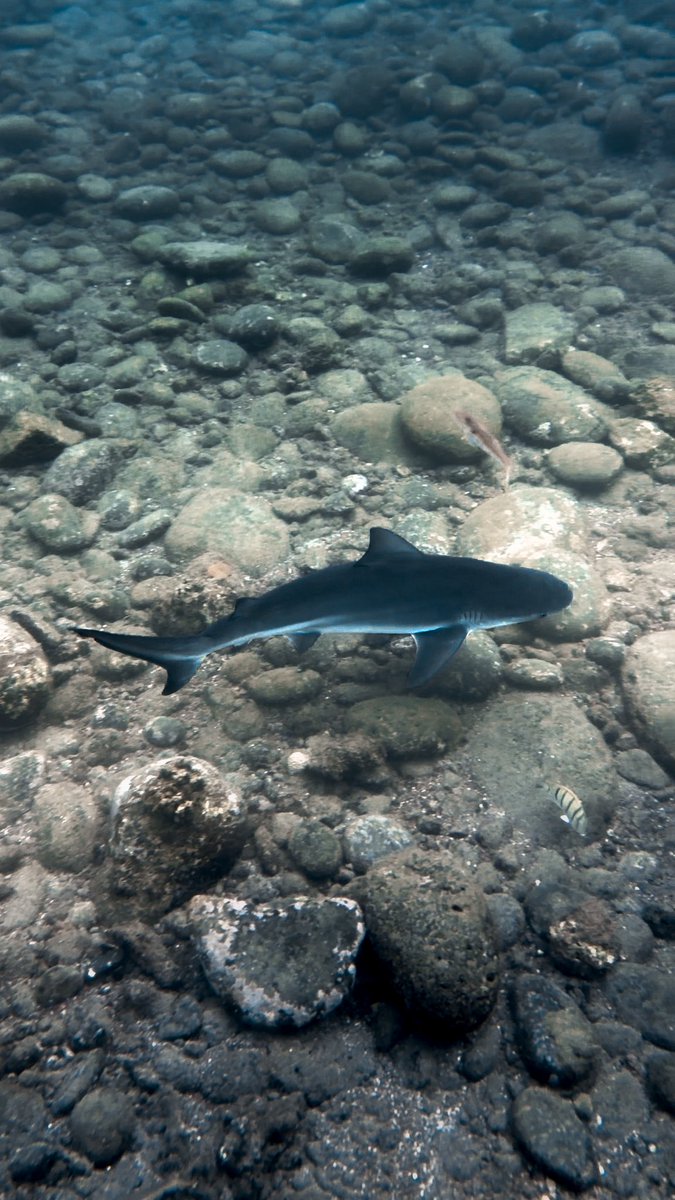 Claradrôle 🥱 tweet media