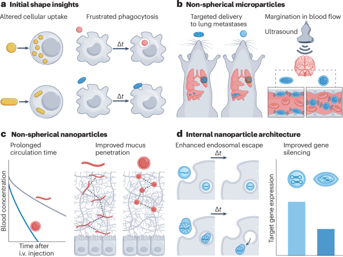 Nature Reviews Bioengineering tweet media
