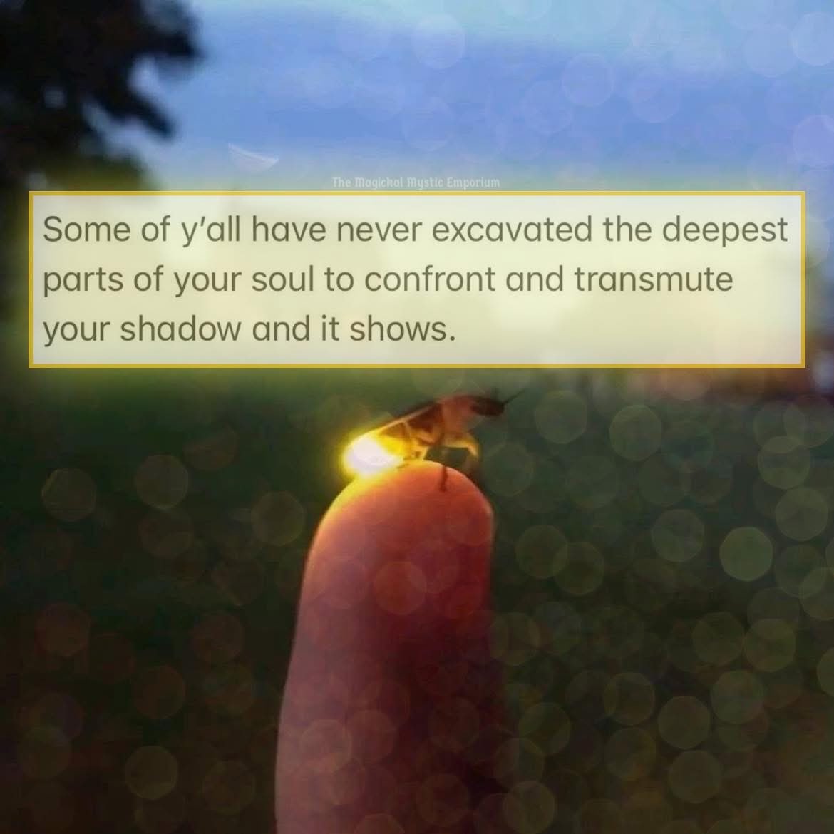 The Fourth Way tweet media